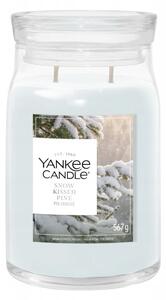 Sójová vonná svíčka Snow Kissed Pine Yankee Candle