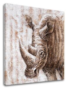 Obraz na plátně NOSOROŽEC 1 díl XOBCHAN016 - 50x50 cm