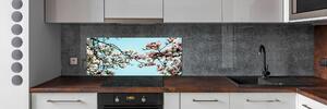 Panel do kuchyně Květiny magnolie pksh-52445180