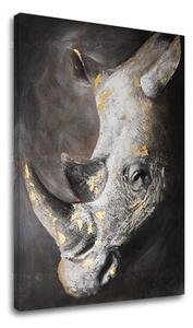 Obraz na plátně NOSOROŽEC 1 díl XOBCHAN082 - 40x60 cm