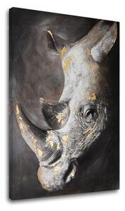 Obraz na plátně NOSOROŽEC 1 díl XOBCHAN082 - 40x60 cm