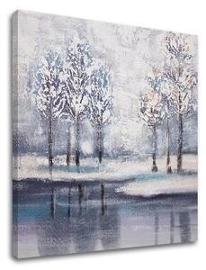 Obraz na plátně STROMY 1 kus - 50x50 cm