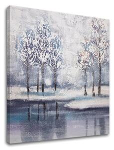 Obraz na plátně STROMY 1 kus - 50x50 cm