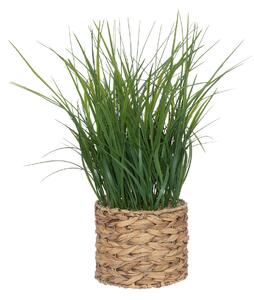 Umělá tráva v květináči s vodního hyacintu, výš. 70 cm