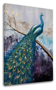 Obraz na plátně PÁV 1 díl - 40x60 cm
