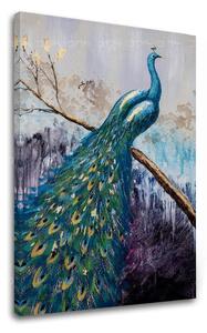 Obraz na plátně PÁV 1 díl - 40x60 cm