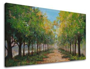 Obraz na plátně STROMY 1 díl - 80x40 cm