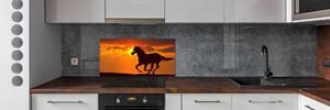 Panel do kuchyně Kůň západ slunce pksh-53365535