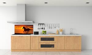 Panel do kuchyně Kůň západ slunce pksh-53365535