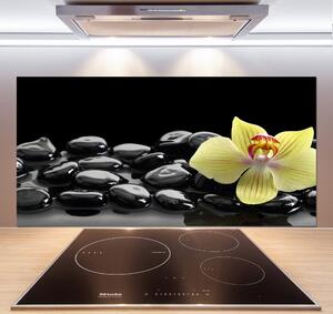Skleněný panel do kuchynské linky Orchidej pksh-53476359