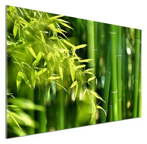 Skleněný panel do kuchyně Bambus pksh-53968302