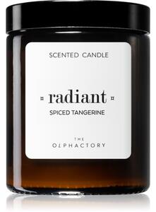 Ambientair The Olphactory Spiced Tangerine vonná svíčka 135 g