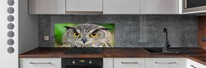 Skleněný panel do kuchyně Sova pksh-54839625