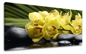 Obraz na stěnu PANORAMA FENG SHUI - 30x60 cm