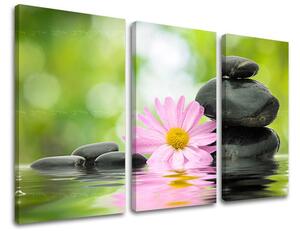 3dílný obraz na stěnu FENG SHUI - 60x40 cm