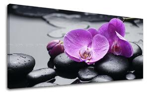 Obraz na stěnu PANORAMA FENG SHUI - 30x60 cm