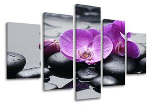 5dílný obraz na stěnu FENG SHUI - 100x80 cm