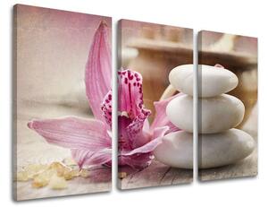 3dílný obraz na stěnu FENG SHUI - 60x40 cm