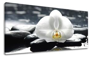 Obraz na stěnu PANORAMA FENG SHUI - 30x60 cm