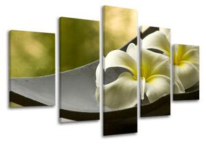 5dílný obraz na stěnu FENG SHUI - 100x80 cm