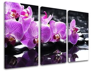 3dílný obraz na stěnu FENG SHUI - 120x80 cm