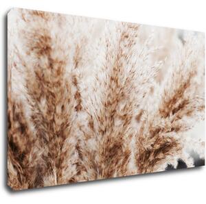 Impresi Obraz Suchá tráva skandinávský styl - 50 x 30 cm
