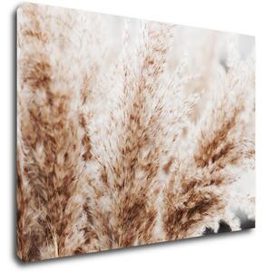 Impresi Obraz Suchá tráva skandinávský styl - 70 x 50 cm