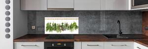 Panel do kuchyně Bylina na provázku pksh-55097850