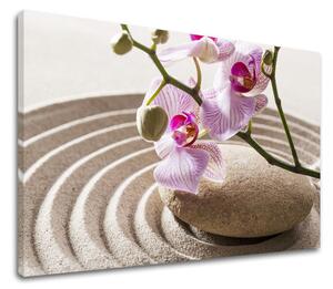 Obraz na plátně FENG SHUI_050-11 - 20x30 cm