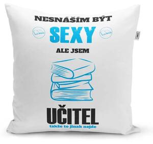 Sablio Polštář Nesnáším být sexy, ale jsem učitel: 40x40 cm