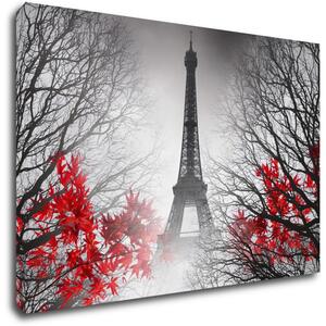 Impresi Obraz Eiffelova věž černobílá s červeným detailem - 90 x 60 cm