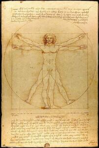 Plakát, Obraz - Leonardo Da Vinci - Vitruvian Man, (61 x 91.5 cm)