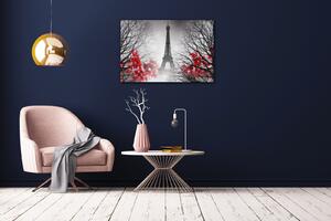 Impresi Obraz Eiffelova věž černobílá s červeným detailem - 60 x 40 cm