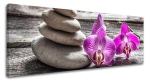 Obraz na plátně FENG SHUI_060-13 - 20x60 cm