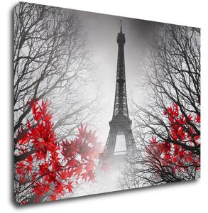 Impresi Obraz Eiffelova věž černobílá s červeným detailem - 70 x 50 cm
