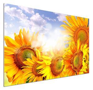 Dekorační panel sklo Slunečníky pksh-55529240