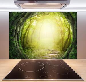 Panel do kuchyně Tunel ze stromů pksh-55464163