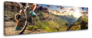 Obraz na stěnu Super Panorama INSPIRACE - 20x60 cm
