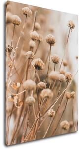 Impresi Obraz Skandinávský styl suchá tráva - 50 x 70 cm