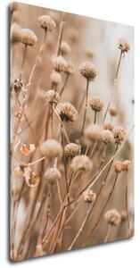 Impresi Obraz Skandinávský styl suchá tráva - 40 x 60 cm