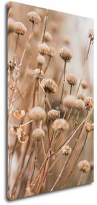 Impresi Obraz Skandinávský styl suchá tráva - 30 x 50 cm