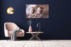 Impresi Obraz Suché květy skandinávský styl - 50 x 30 cm