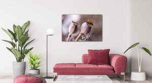 Impresi Obraz Suché květy skandinávský styl - 60 x 40 cm