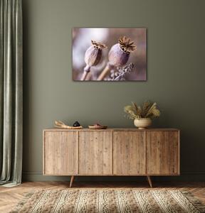 Impresi Obraz Suché květy skandinávský styl - 70 x 50 cm