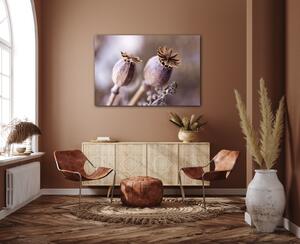 Impresi Obraz Suché květy skandinávský styl - 90 x 60 cm