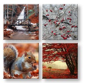 Obraz na stěnu KOLÁŽ 4 díly XOBKOL11E42 - 40x40 cm