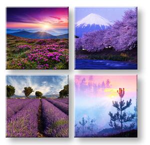 Obraz na stěnu Všude fialová 4 díly XOBKOL21E42 - 40x40 cm