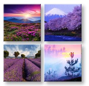 Obraz na stěnu Všude fialová 4 díly XOBKOL21E42 - 40x40 cm