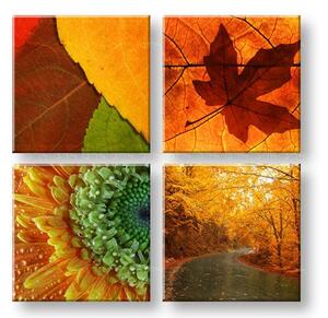 Obraz na stěnu 50 odstínů žluté 4 díly XOBKOL24E42 - 40x40 cm