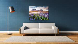 Impresi Obraz Horská krajina s květinami - 70 x 50 cm